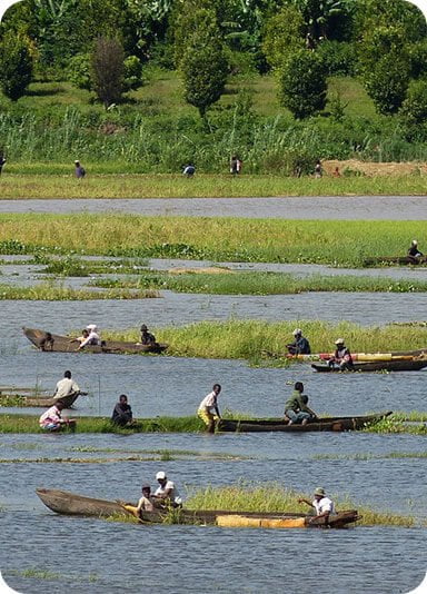 Agriculture Alaotra